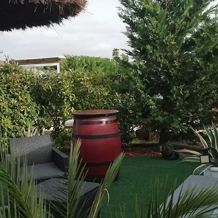 Cathares Holidays Carcassonne