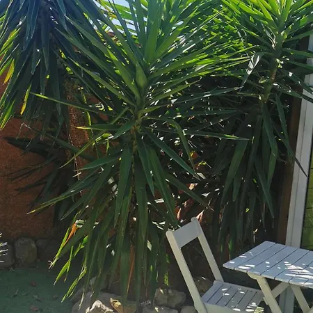 Cathares Holidays Affittacamere