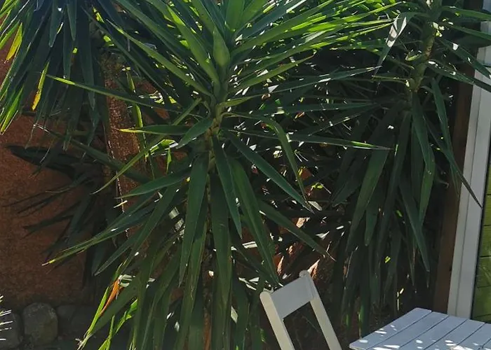 Cathares Holidays Guest house